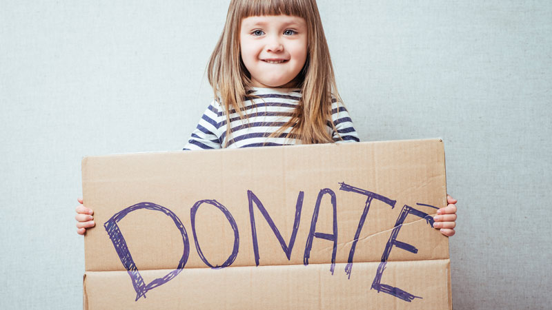 BMSF Donate