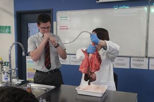 HEART AND LUNG DISSECTION 11