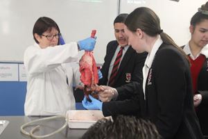 HEART AND LUNG DISSECTION 19