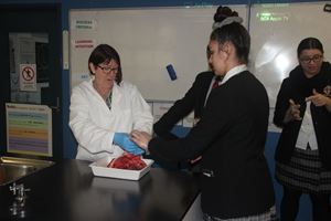 HEART AND LUNG DISSECTION 2
