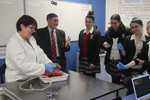 HEART AND LUNG DISSECTION 24