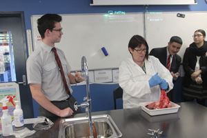 HEART AND LUNG DISSECTION 7