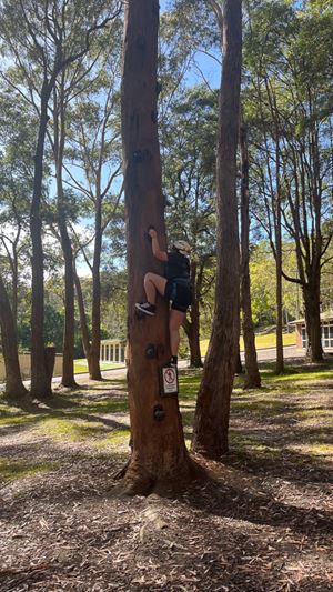 year-8-camp-069
