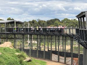 sydney-zoo-22