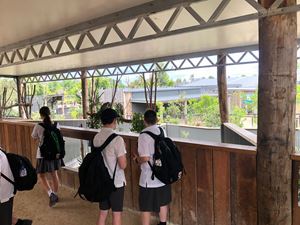 sydney-zoo-26