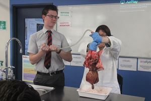 HEART AND LUNG DISSECTION 10