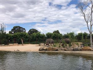 sydney-zoo-14