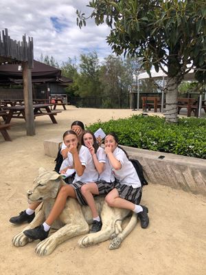 sydney-zoo-18