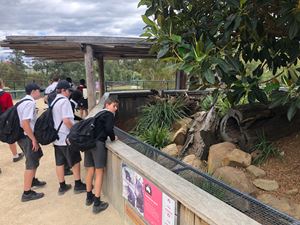 sydney-zoo-28