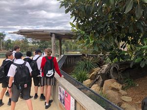 sydney-zoo-29