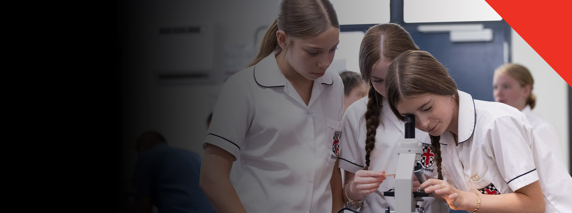 Students working together in the science lab at Xavier College Llandilo