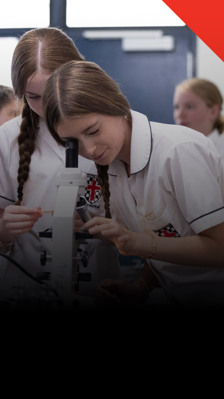 Students working together in the science lab at Xavier College Llandilo